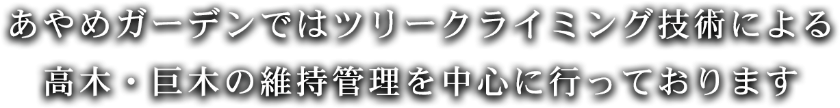 トップページ